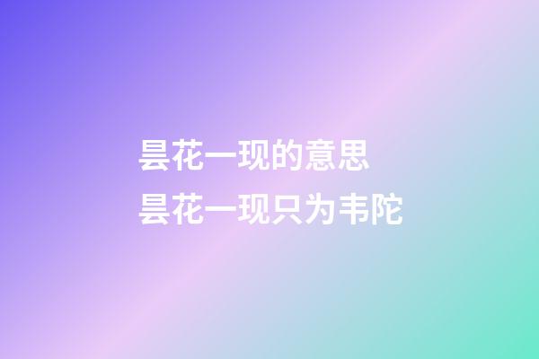 昙花一现的意思 昙花一现只为韦陀